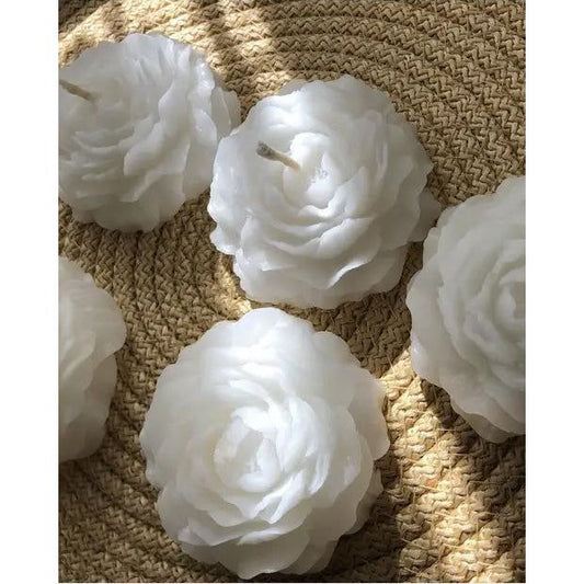 Stugonia Alia Mum 6'lı