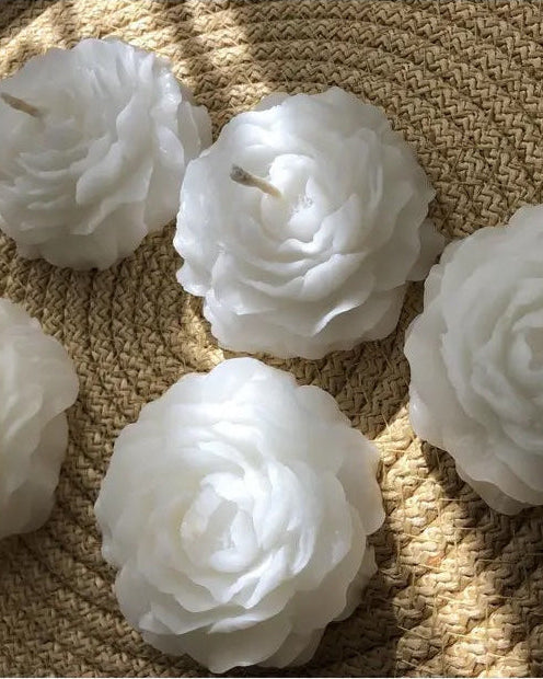 Stugonia Alia Mum 6'lı