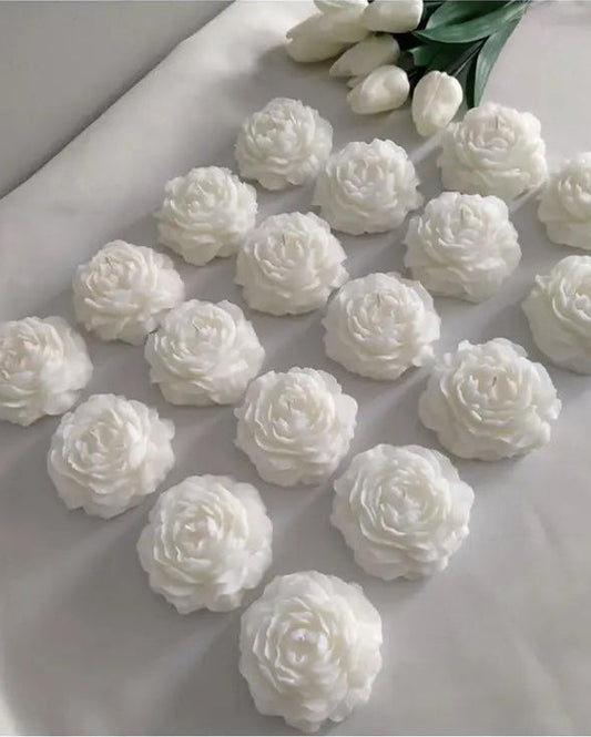 Stugonia Alia Mum 6'lı