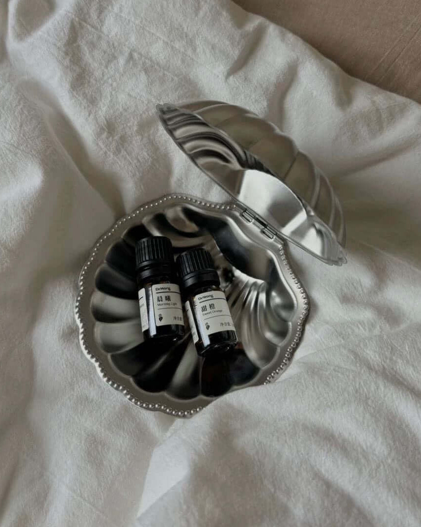 Vintage Metal İstiridye Kutu