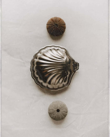 Vintage Metal İstiridye Kutu